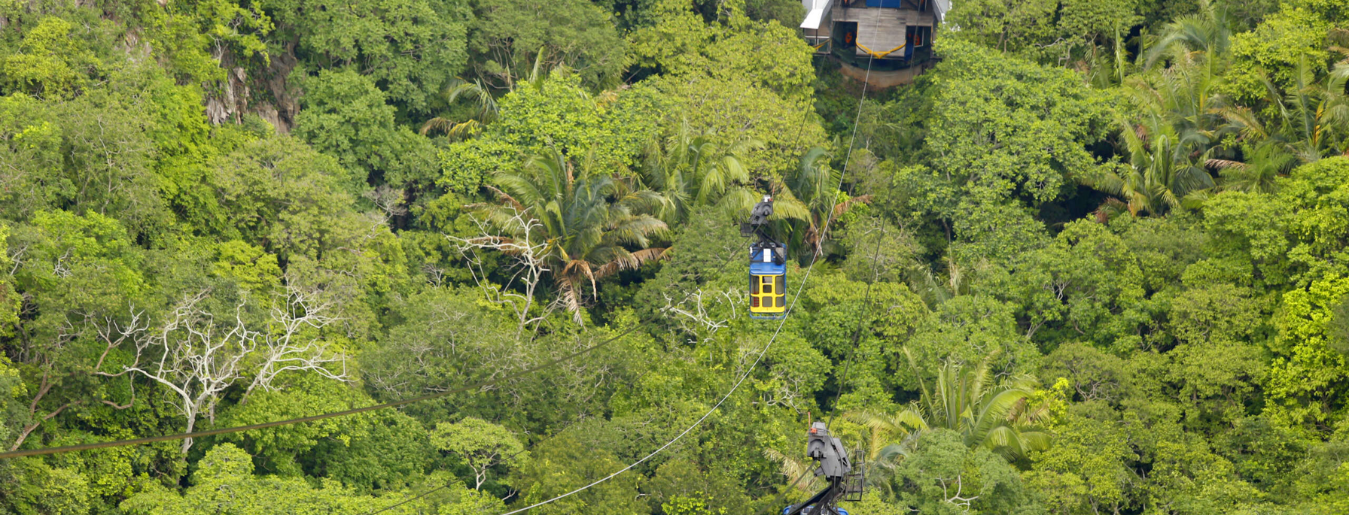 BANNERIbiapaba Valley (2)