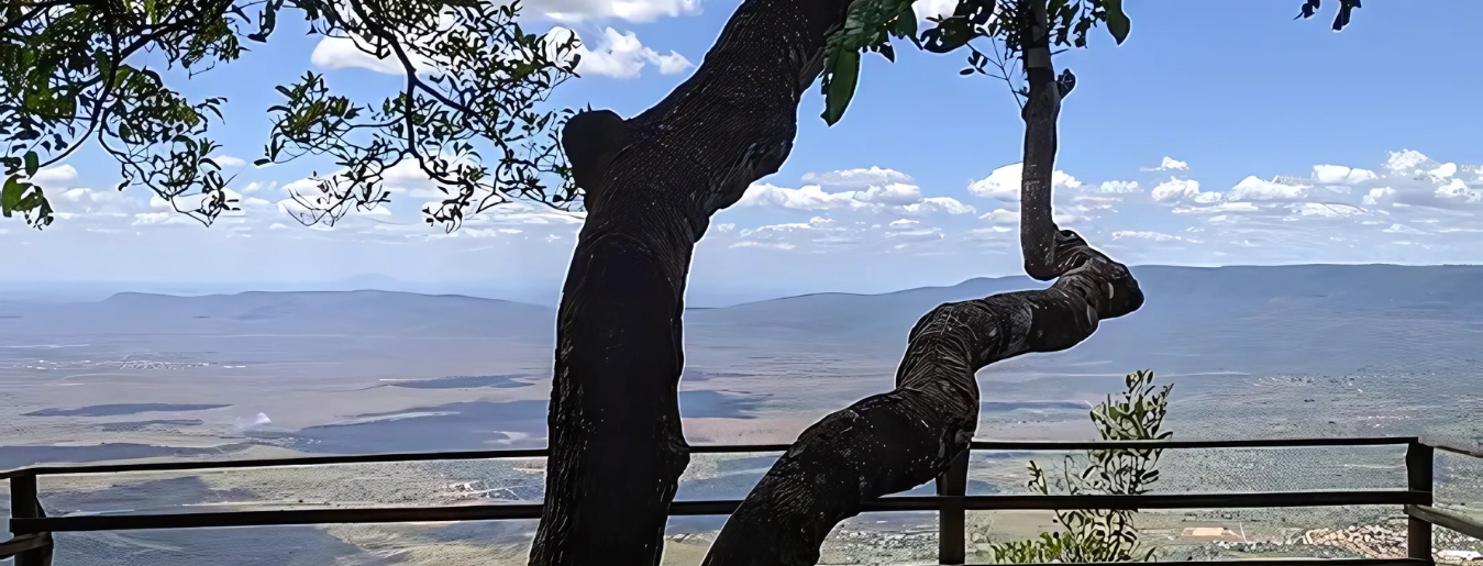BANNERIbiapaba Valley (5)